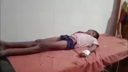 महाराजगंज: पंचम सिंह के पुरवा में जामुन तोड़ने गया किशोर पेड़ से गिरकर गंभीर रूप से घायल, जिला अस्पताल किया गया रेफर