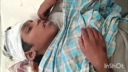 मेदिनीनगर (डालटनगंज): कुंडवा गांव में कुत्तों के झुंड ने किशोर पर किया हमला, एमएमसीएच में इलाज जारी