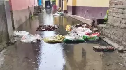 आरा: वार्ड 2 के शीशा गली फैक्ट्री में नाली निकासी न होने से मोहल्ले में जमा दुर्गन्ध वाला पानी, जीना हुआ मुश्किल