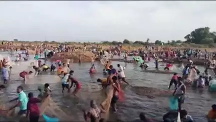 முசிறி: நெய்வேலி கிராமத்தில் மீன்பிடி திருவிழா - திரளான பொதுமக்கள் கலந்து கொண்டு ஏரியில் மீன்பிடித்து மகிழ்ந்தனர்