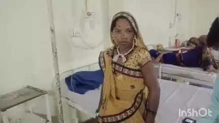 अशोक नगर: मैलूआ चौराहा निवासी 30 वर्षीय महिला को जहरीले सांप ने काटा, ज़िला अस्पताल में भर्ती