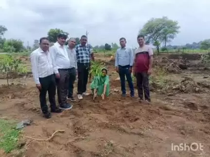 राजनांदगांव: ग्राम धामनसरा में किया गया पौधारोपण, बड़ी संख्या में जनप्रतिनिधि और गणमान्य नागरिक रहे मौजूद