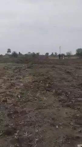 रोशन सिंह पुत्र धर्मेंद्र सिंह हत्या लेके आए