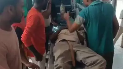 तिलहर: निगोही के टिकरी चौकी के पास ऑटो और आवारा पशु के बीच हुई टक्कर, करीब आधा दर्जन लोग हुए घायल