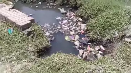 निचलौल: ग्राम सभा मोरवन में नाली की सफाई न होने से ग्रामीणों में आक्रोश, बीडीओ ने एक हफ्ते में सफाई का दिया आश्वासन