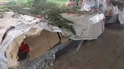 बालाघाट: मोती तालाब में 3 वर्षों से बंद बोटिंग की फिर से होगी शुरुआत, दिल्ली से मंगवाई गई 4 बोट