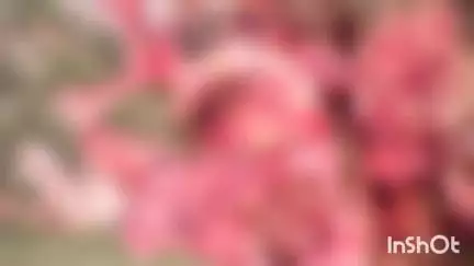 करतला: उरगा थाना क्षेत्र में  गौमांस के साथ पकड़ाने वाला व्यक्ति निकला मोची, पुलिस ने की प्रतिबंधात्मक कार्रवाई