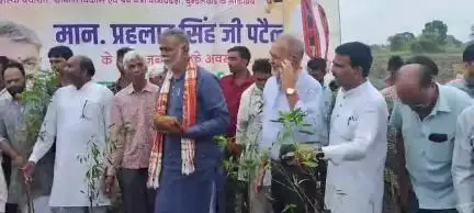 भाजपाके वरिष्ठ नेता केंद्रीय संस्कृति एवं पर्यटन एवं पंचायत मंत्री श्री प्रहलाद सिंह पटेल जी को जन्मदिन के अवसर पर सैनिक स्कूल में सामूहिक वृक्षारोपण किया गया