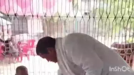 चक्की: चक्की के पांडेय डेरा स्थित केहरी ब्रह्म बाबा स्थल पर धूमधाम से मनाया गया वार्षिक पूजनोत्सव