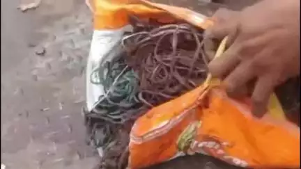 मनासा: अरनिया माली के ग्रामीणों ने मोटर केबल चोरी करते हुए चोर को रंगेहाथ पकड़ा, पुलिस के हवाले किया