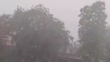 कोल: मानसून की पहली बारिश ने दी दस्तक, सभी के चेहरे खिल उठे, खेतों में लहराई फसलें, गर्मी से मिली राहत
