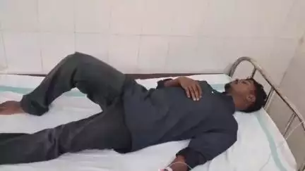 केरसई: मचकट्टा गांव के युवक को जहरीले सांप ने काटा, हालत बिगड़ने पर अस्पताल रेफर
