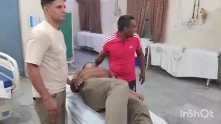 बरेली: 8वीं पीएसी बटालियन में ट्रेनिंग कर रहे रिक्रूट पर मधुमक्खियों ने किया हमला, गंभीर रूप से हुए घायल