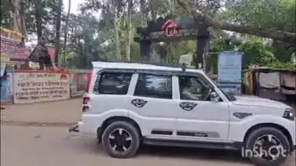 बिक्रम: बिक्रम में नगर पंचायत का चुनाव शांतिपूर्ण ढंग से सम्पन्न हुआ