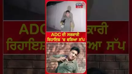 ADC ਦੀ ਸਰਕਾਰੀ ਰਿਹਾਇਸ਼ 'ਚ ਵੜਿਆ ਸੱਪ | #shorts | N18s