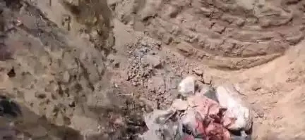 शामली: आबकारी अधिनियम के 328 मुकदमों से संबंधित अवैध शराब को शामली कोतवाली में किया गया नष्ट, अधिकारी रहे मौजूद