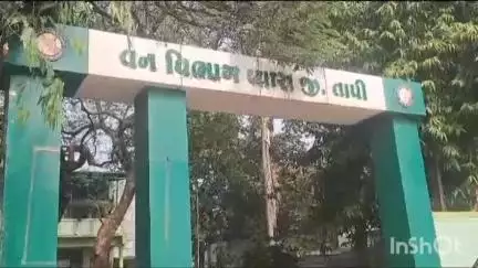 વ્યારા: લોટરવા ગામે દીપડાએ બે વાછરડીનો શિકાર કર્યો પશુ પાલકને મોટું આર્થિક નુકશાન