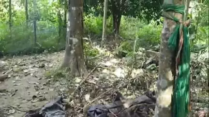 ঘগ্ৰাপাৰ ভাগ: ক্ষুদ্ৰ কটৰাত নিশা বন্যহস্তীৰ তাণ্ডৱ, ভাঙি তহিলং কৰিলে বাসগৃহ