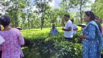 কুমারগ্রাম: কুমারগ্রাম ব্লকের 5টি চা বাগানে কংগ্রেস ও যুব কংগ্রেসের 'বাগান চলো' কর্মসূচি