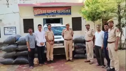 सायला: सायला पुलिस ने 477 किलो डोडा पोस्त से लदी स्कॉर्पियो की जब्त, नाकाबंदी तोड़कर भागे तस्कर
