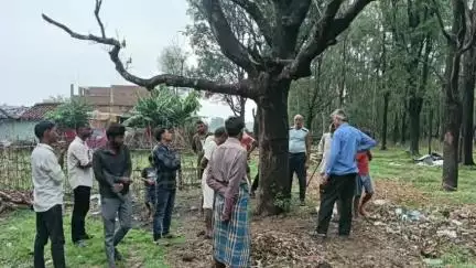 जवा: कौआढान कुर्मियान में आकाशीय बिजली का कहर, पंचायत भवन क्षतिग्रस्त, महिला घायल, गाय की मौत