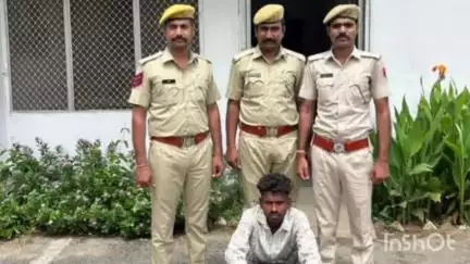 सलूम्बर: सलुम्बर जिले में बकरियां चोरी करने वाली गैंग का भंडाफोड़, एक गिरफ्तार, दो नाबालिग डिटेन, 35 बकरियां बरामद