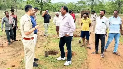 बिजावर: बिजावर में 20,000 पौधों का वृक्षारोपण: पर्यावरण संरक्षण को मिलेगा बढ़ावा