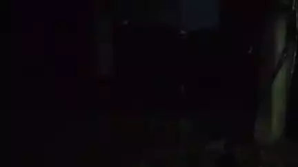 सोहागपुर: बंधवाबड़ा में ठाकुर बाबा के पास बिजली पोल के करेंट से तीन मवेशियों की मौत