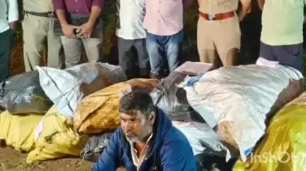 जत: जत तालुक्यातील साळमाळगेवाडी येथे शेतात पोलिसांचा छापा,12 लाख 85 हजार रुपये किमतीचा गांजा जप्त
