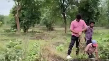 सोहागपुर: कुदरी में कुएं में गिरे सियार को एसडीआरएफ, वन विभाग और गौ सेवकों की टीम ने किया रेस्क्यू
