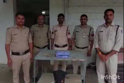 बैराड़: बैराड़ पुलिस ने एक युवक को देशी कट्टे और जिंदा राउंड के साथ किया गिरफ्तार, आर्म्स एक्ट के तहत मामला दर्ज