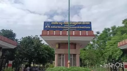 बरेली: IVRI बरेली के निदेशक त्रिवेणी दत्त ने आगामी 30 जून को राष्ट्रपति द्रोपदी मुर्मू के कार्यक्रम की तैयारियों की दी जानकारी