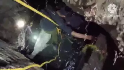 बकानी: बकानी कस्बे में गहरे नाले में गिरा गोवंश, गो भक्तों और ग्रामवासियों ने भारी मशक्कत से सुरक्षित बाहर निकाला