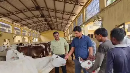 शाहजहांपुर: अपर जिलाधिकारी प्रशासन रजनीश मिश्रा ने पुवाया में कान्हा गौशाला का किया निरीक्षण