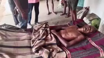जयसिंहनगर: खड़गड़ी के जंगल में मधुमक्खियों के हमले से पत्नी को बचाने गए बुजुर्ग पति की मौत, महिला घायल