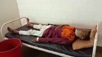 ढीमरखेड़ा: पटेहरा में घर पर काम करते समय जहरीले कीड़े के काटने से 48 वर्षीय व्यक्ति बीमार, अस्पताल में इलाज जारी