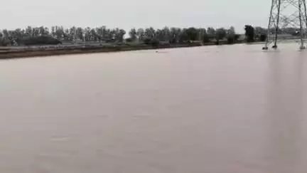 अम्बाला: राजूखेड़ी से दादूपर गांव सड़क पर पुलिया बंद होने से कई एकड़ जमीन जलमग्न