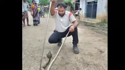 ଅନୁଗୋଳ: କିଶୋର ନଗର ବ୍ଲକ ଅନ୍ତର୍ଗତ ଝରାବେରେଣୀ ଗାଁର ଜଣଙ୍କ ଘର ଭିତରୁ ବିଷାକ୍ତ ନାଗ ସାପ ଉଦ୍ଧାର