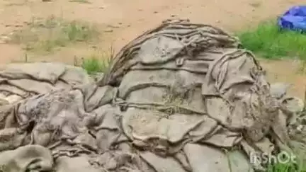 मरवाही: धान खरीदी केंद्र मरवाही से धान का उठाव न होने से भीग रहे कई क्विंटल धान, प्रशासन की लापरवाही सामने आई