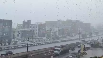 હિંમતનગર: જિલ્લામાં ઘટાટોપ વાદળો વચ્ચે સર્વત્ર વરસાદ:છુટા છવાયા ઝાપટા પડતાં વાતાવરણમાં ઠંડક.