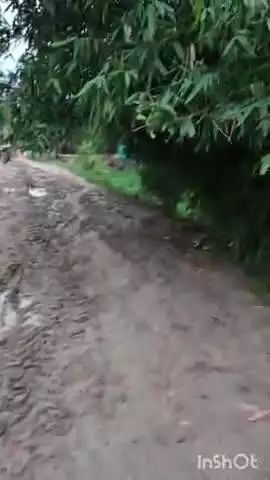 चैनपुर थाना क्षेत्र के सिरबिट पंचायत का रोड आजादी से लेकर आजतक किसी ने नहीं बनवाया #सिरबिट पंचायत का रोड हुआ नाला ग्रामी