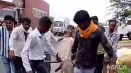 करेरा: शिवपुरी-झांसी हाईवे पर अशोक होटल के पास अज्ञात वाहन ने गाय को टक्कर मारी