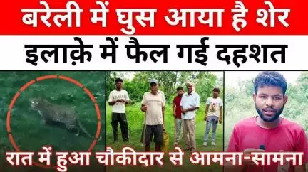 #Bareilly में तेंदुए का ख़ौफ़, हमला करेगा या क़ैद होगा | #Leopard | #Khaitan #Factory | #UP #News
