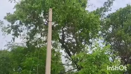 चरपोखरी: रविवार को मेंटेनेंस कार्य के चलते चरपोखरी में दो घंटे नहीं रहेगी बिजली