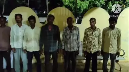 छुईखदान पुलिस ने गौ-तस्करी पर बड़ी कार्रवाई की, गड़बंजा ज़ीरो पुलिया के पास 17 गौवंश बरामद, 8 आरोपी गिरफ्तार