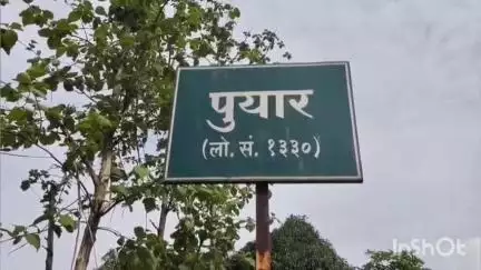 भंडारा: पुयार येथे बिबट्याने गोठ्यात शिरून केली शेळ्यांची शिकार