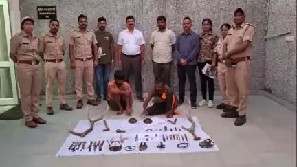 लाडपुरा: कोटा में वन्यजीव तस्करी का भंडाफोड़, बरामद हुए मॉनिटर लिजर्ड के 28 अंग, बारहसिंगा के सिंग और पैंथर का नाखून