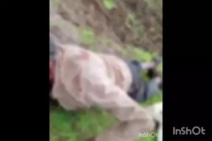 पोहरी: बमरा में खेत पर ट्रैक्टर चलाने को लेकर विवाद, लाठी-डंडों से हमला, 2 घायल, 4 पर मामला दर्ज