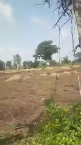 खंडवा: खंडवा के टाकलखेड़ा गांव में वन विभाग के कर्मचारियों पर अतिक्रमणकारियों का हमला