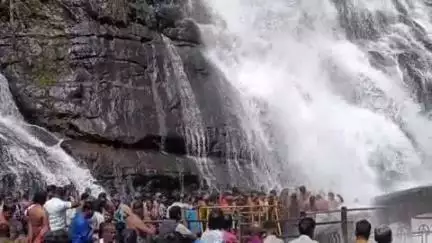 தென்காசி: பிரதான அருவியில் பெண்கள் குளிக்கும் பகுதியில் விழுந்த உடும்பால் பரபரப்பு